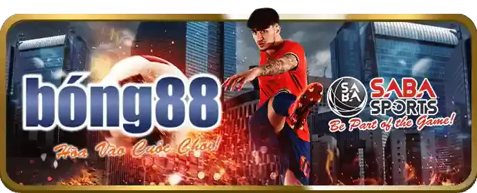 Dịch vụ hỗ trợ khách hàng 24/7 của VB88